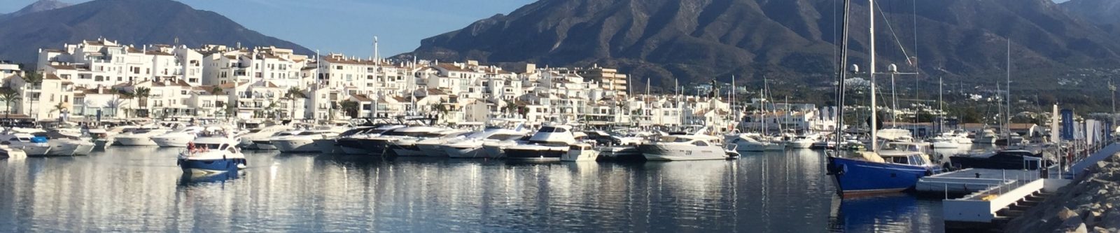 Banus area guide top 2