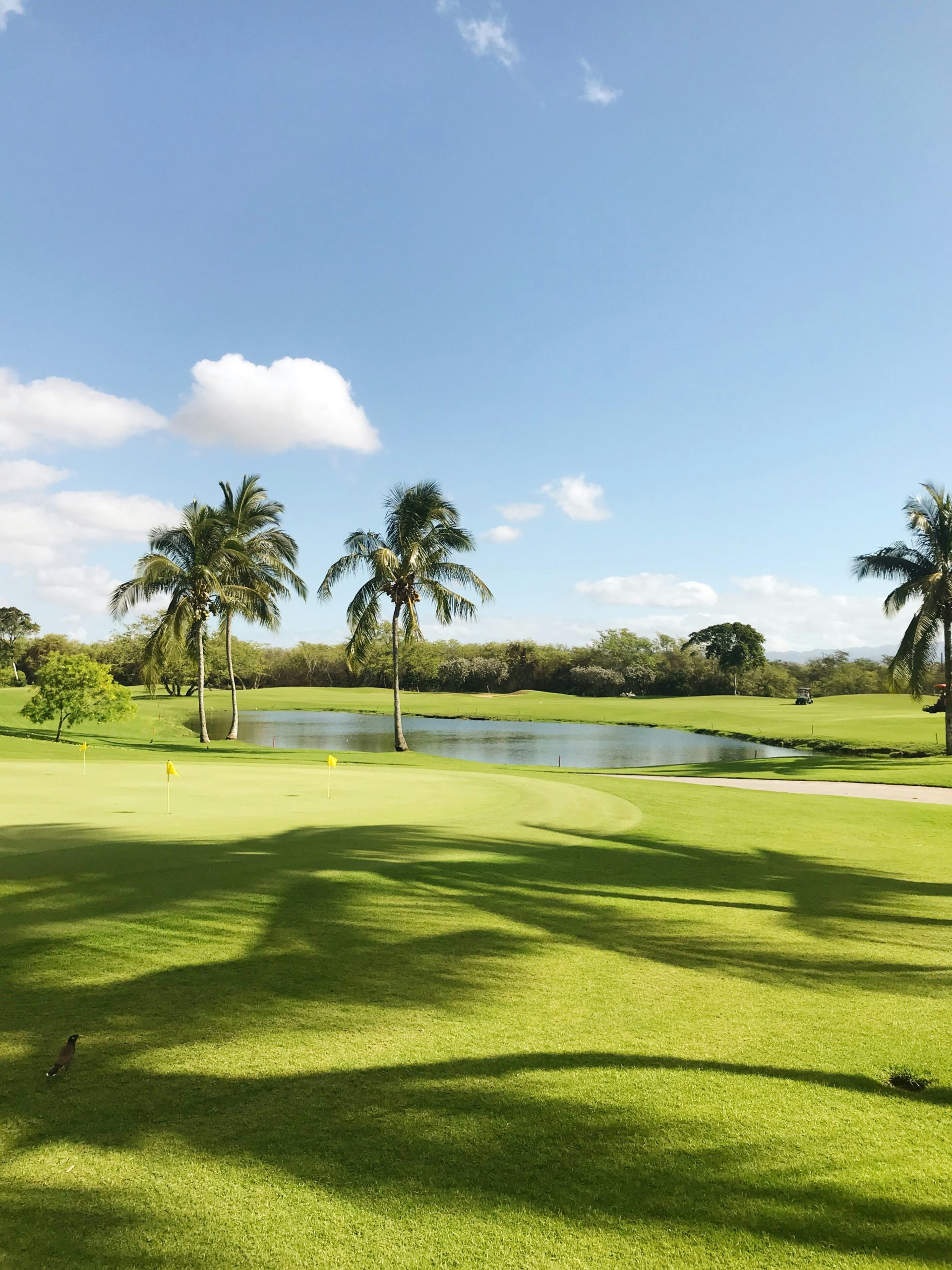 Best 5 Golf Courses Costa del Sol