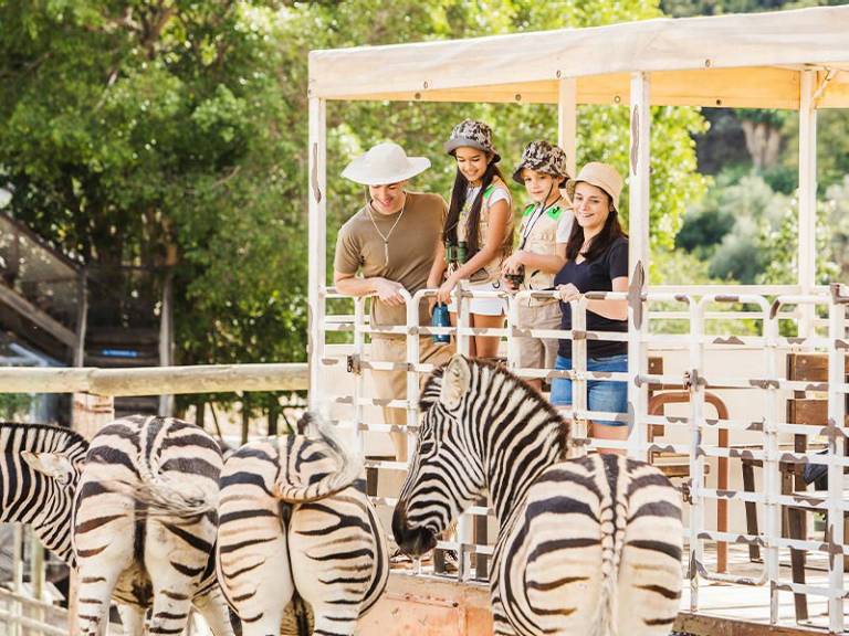 Diversión en Familia en Marbella: La Guía Definitiva de Actividades para Niños